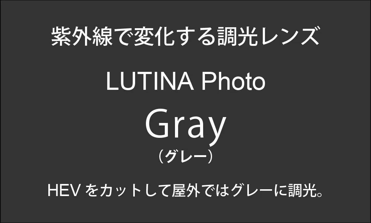 LUTINA Photo Gray
