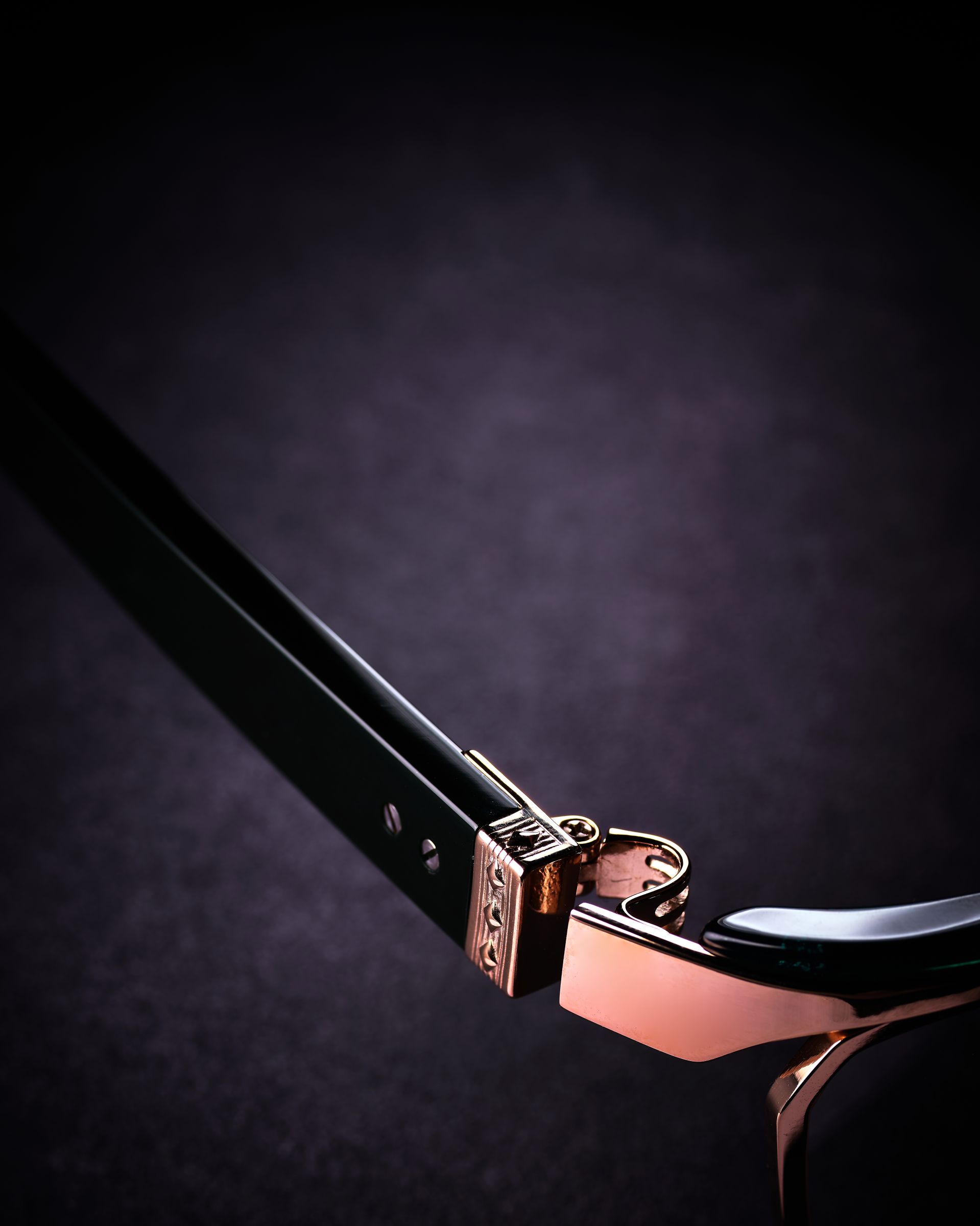 APOLLON AP-056 Knightの称号 / EYEWEAR :: Ptolemy48（トレミー